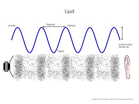  The Seer : En hypnotiserande ljudbild som möter den experimentella elektroniken